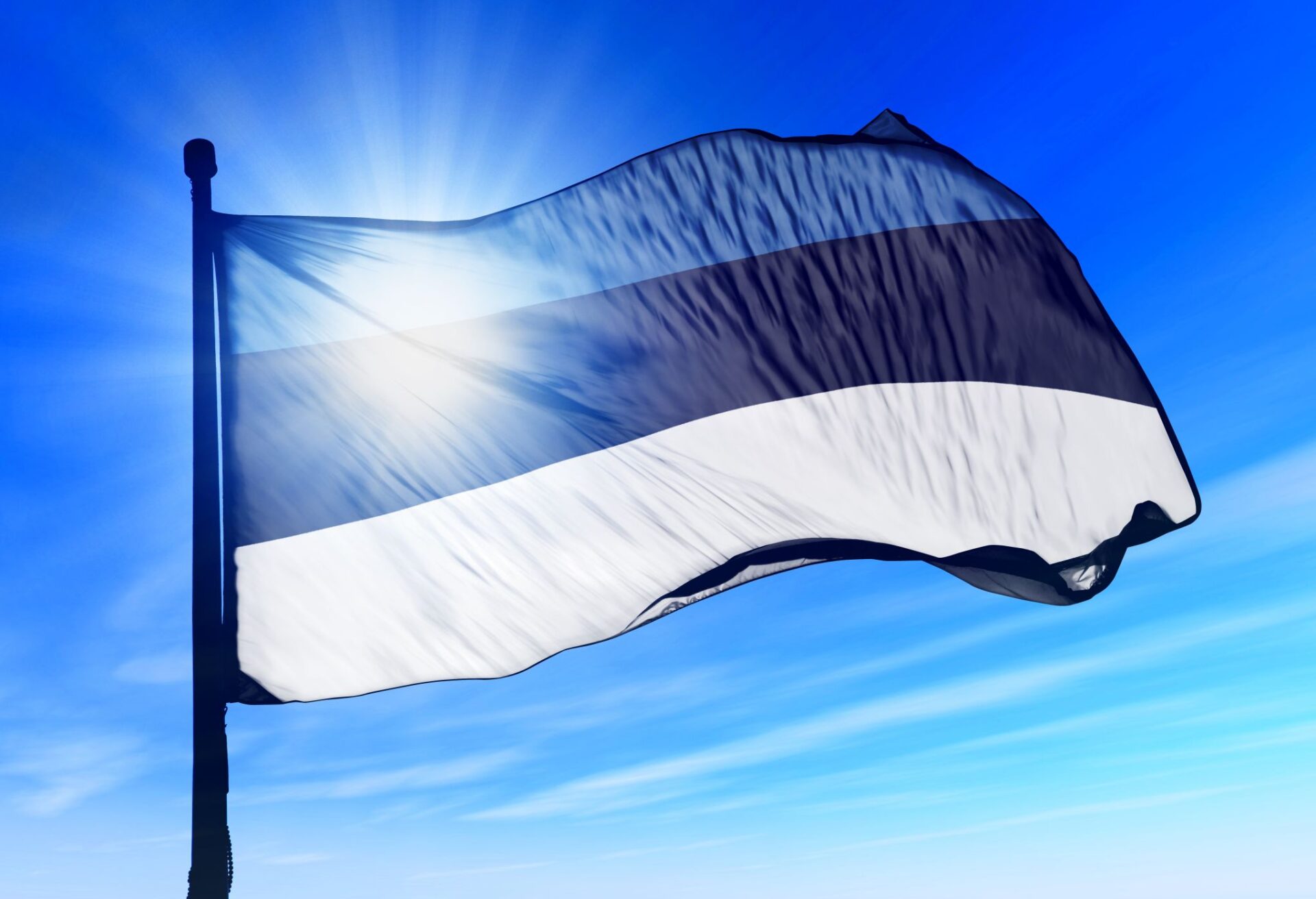 Eesti lipp on sinimustvalge